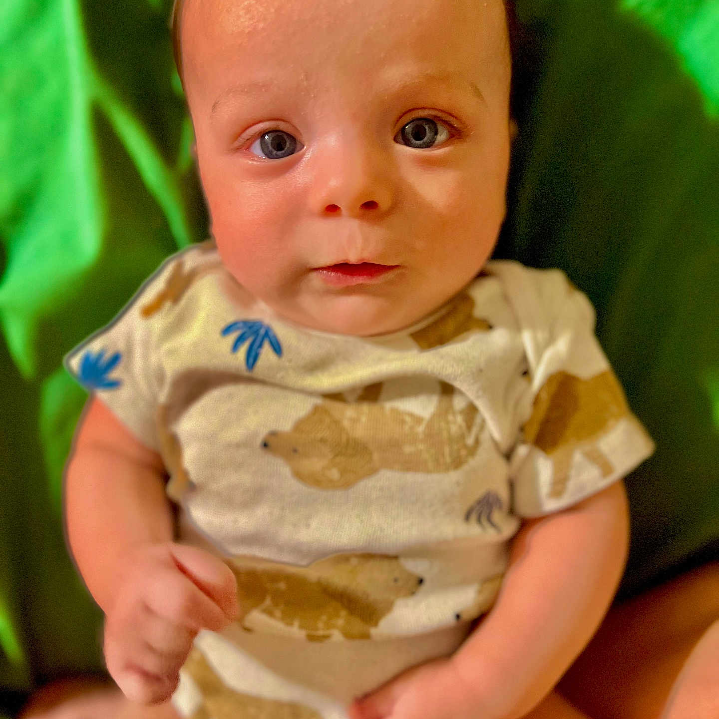 Gabriel joined the competition — help win amazing prizes! baby, bodypart, clothing, couch, cushion, dress, face, finger, furniture, hand, happy, head, homedecor, newborn, person, photography, portrait, sitting, smile, t_shirt