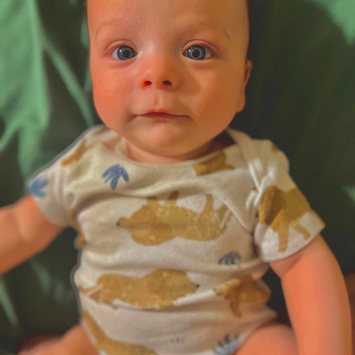 Gabriel joined the competition — help win amazing prizes! baby, bodypart, clothing, dress, face, finger, frown, hand, happy, head, newborn, person, photography, portrait, sad, shirt, sitting, sleeve, smile, t_shirt