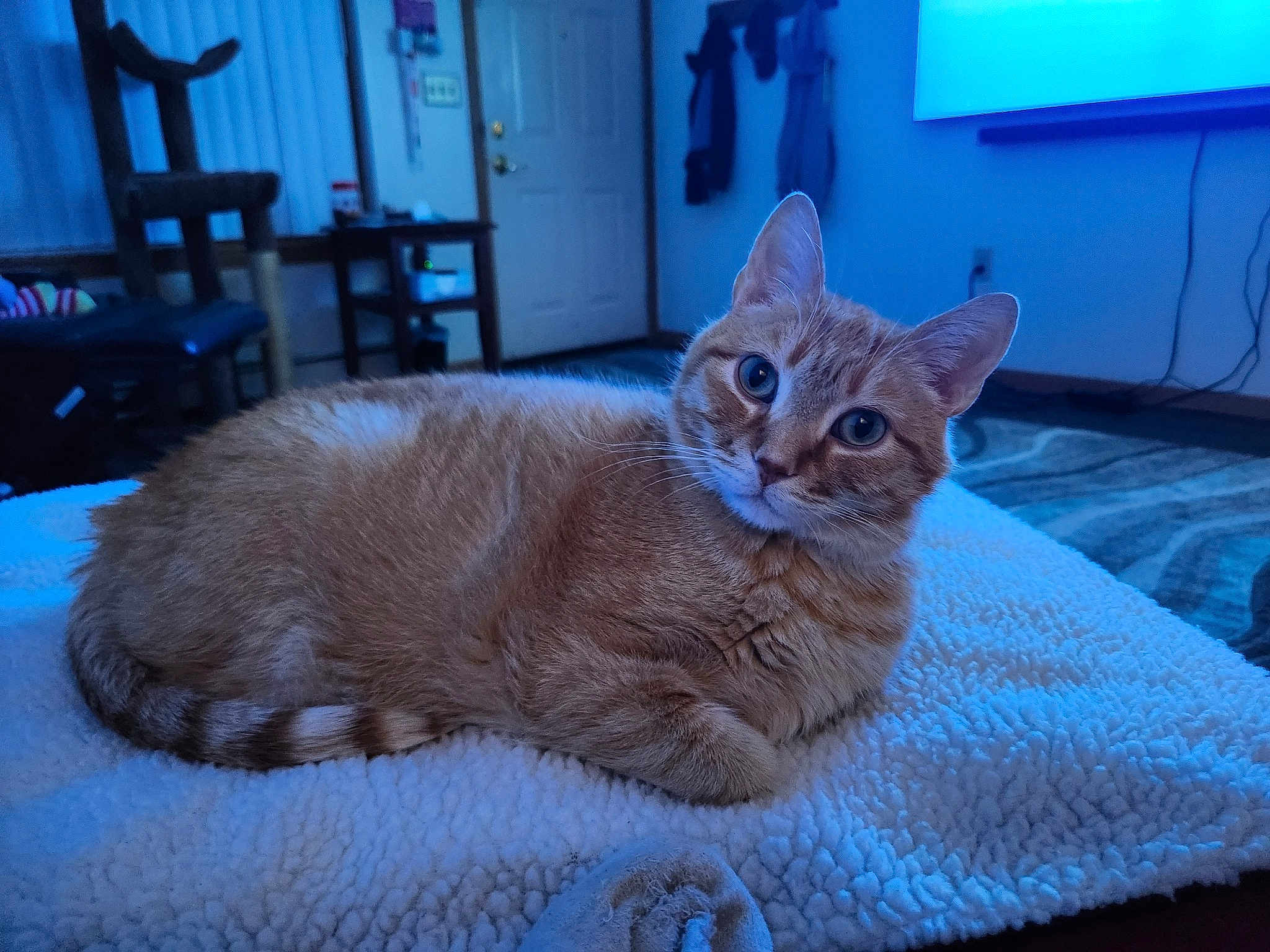 Rupert