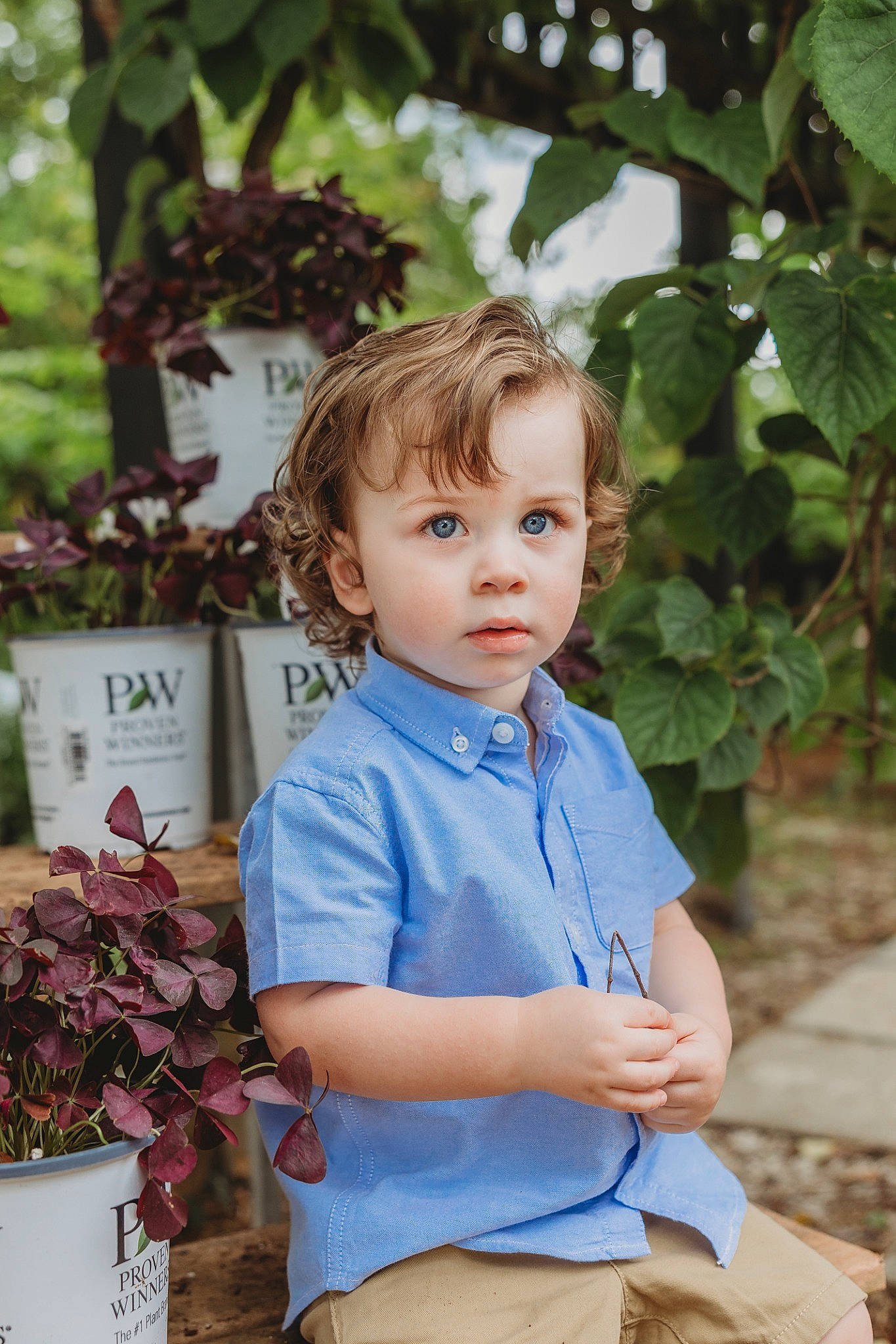 Iucas is registered to the contest to win money with this photo: baby_toddler_clothing, child, denim, electric_blue, flowerpot, garden, grass, hairstyle, happy, leaf, leisure, people_in_nature, person, plant, shorts, sleeve, summer, t_shirt, toddler, tree