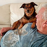 Oliver participe au concours pour gagner de l'argent avec cette photo : animal, black_and_tan, brown_dog, casual_clothing, companion, couch, dog, furniture, happy, home, human, indoors, living_room, looking_at_camera, man, person, pet, portrait, sitting, sofa
