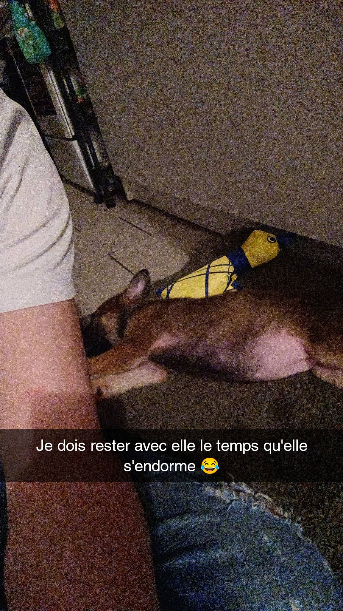 Maïa a rejoint le concours — aidez-le/la à gagner de superbes lots ! asphalt, automotive_tire, elbow, eyewear, fashion_accessory, finger, flooring, font, foot, hand, human_leg, joint, knee, leg, metal, road_surface, sandal, sportswear, thigh, wrist