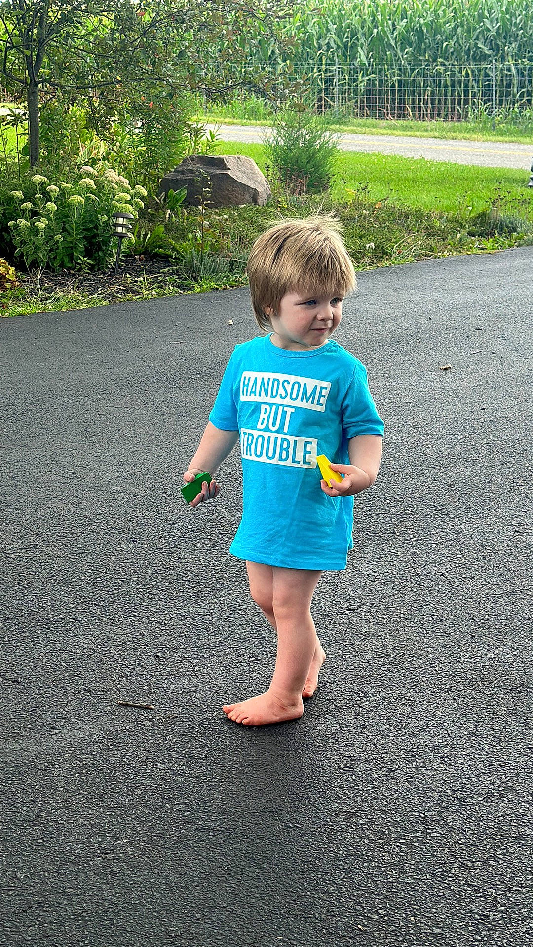 Carter is registered to the contest to win money with this photo: asphalt, baby_toddler_clothing, electric_blue, fun, grass, happy, human_leg, leisure, morning, people_in_nature, person, plant, recreation, road, road_surface, shorts, sleeve, t_shirt, toddler, tree