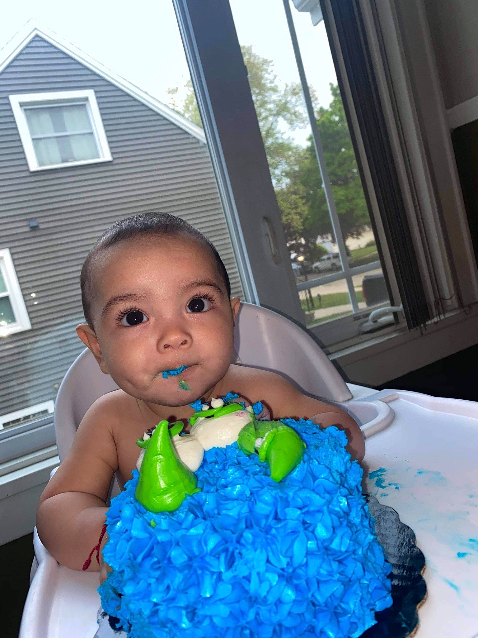 Adrian is registered to the contest to win money with this photo: azure, baby, baby_toddler_clothing, cake, cake_decorating, cake_decorating_supply, curtain, electric_blue, event, finger, fun, happy, house, icing, person, sky, sugar_cake, textile, toddler, tree