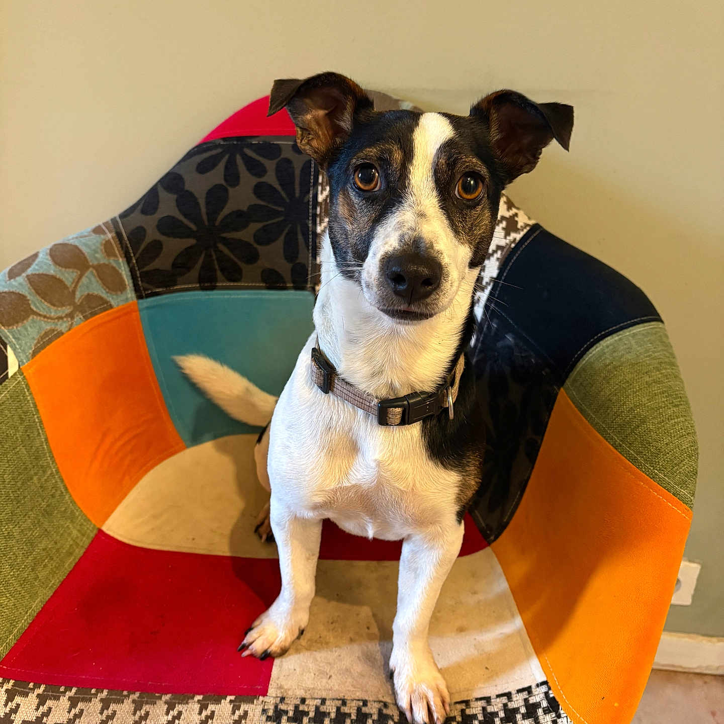 Max