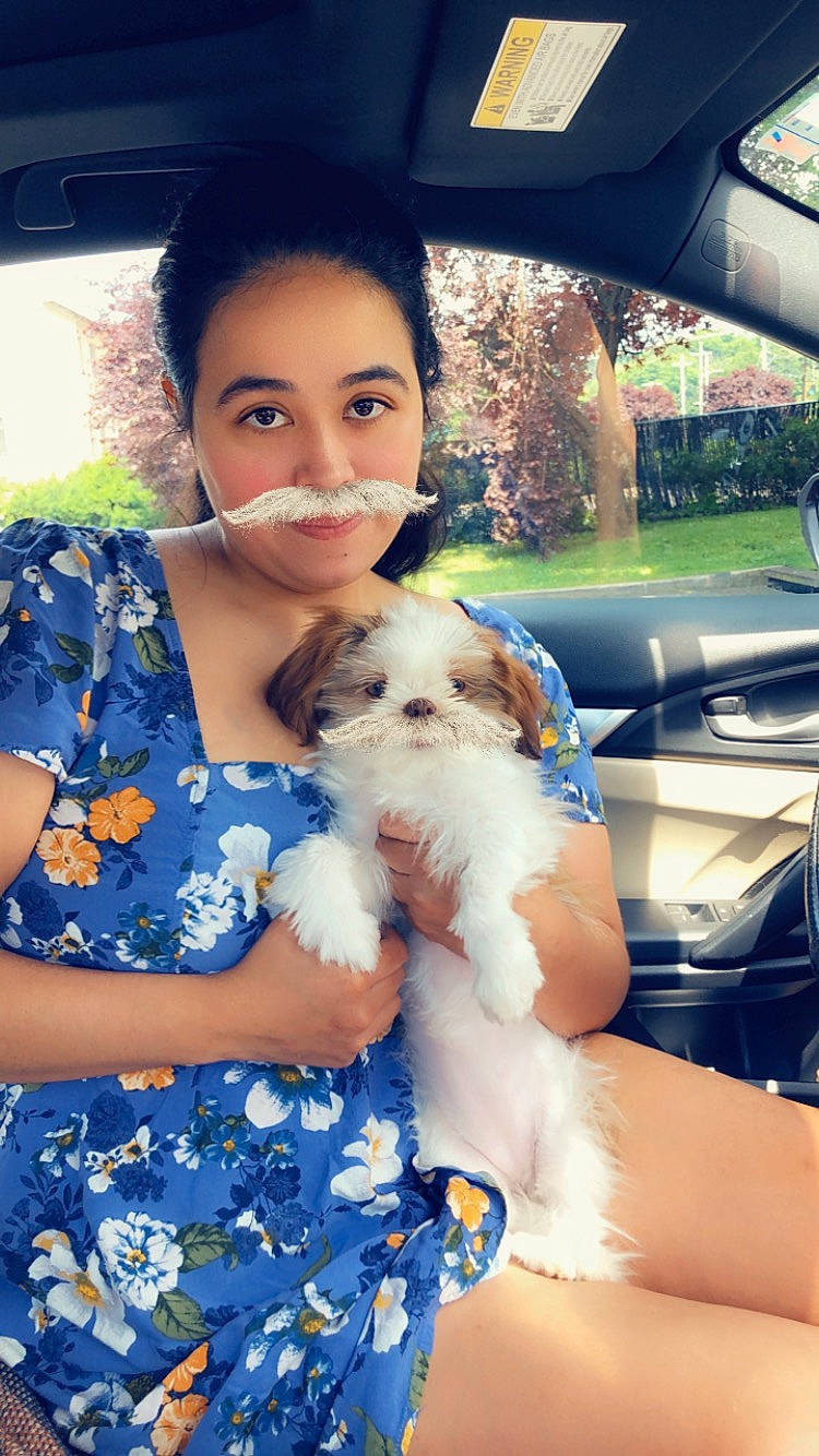 Yuki is registered to the contest to win money with this photo: canidae, carnivore, cavachon, chinese_imperial_dog, cockapoo, companion_dog, dog, dog_breed, havanese, mal_shi, maltepoo, morkie, poodle_crossbreed, puppy, puppy_love, schnoodle, shih_tzu, sporting_lucas_terrier, toy_dog, yorkipoo