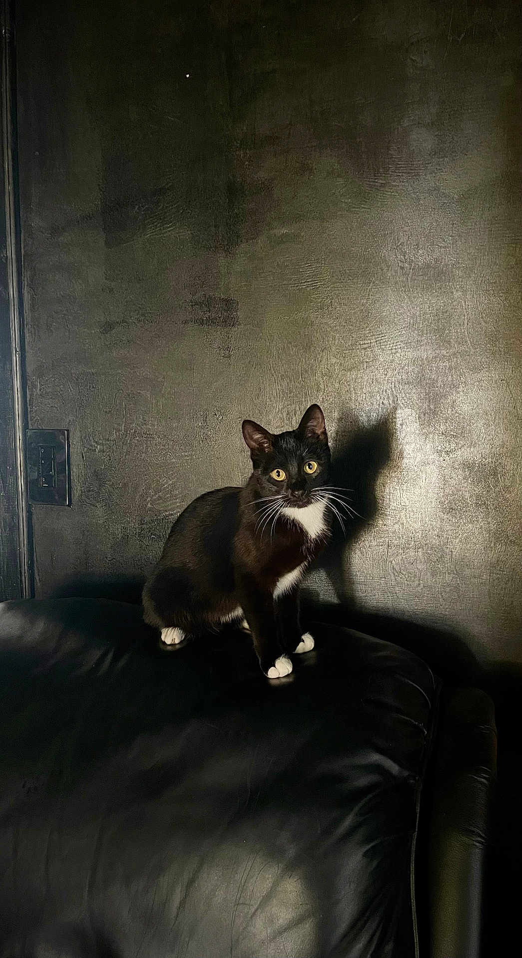 Spooks