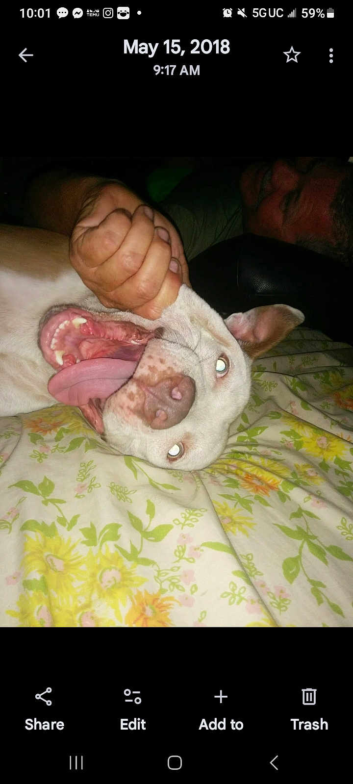 Scrappy
