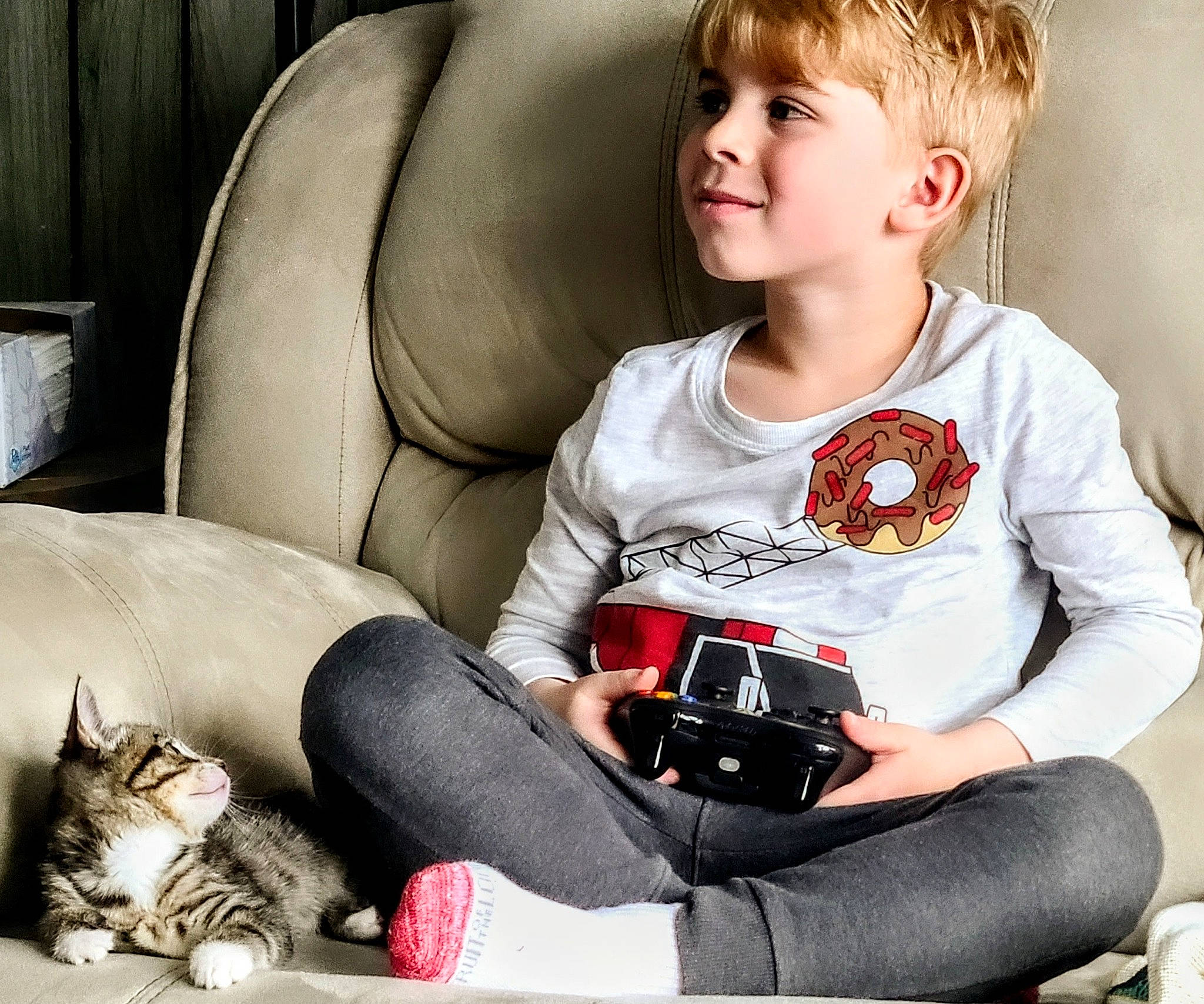 Bluey is registered to the contest to win money with this photo: camera, carnivore, cat, comfort, couch, elbow, felidae, flash_photography, gadget, hair, happy, human_leg, knee, lap, mammal, photograph, sitting, small_to_medium_sized_cats, smile, thigh