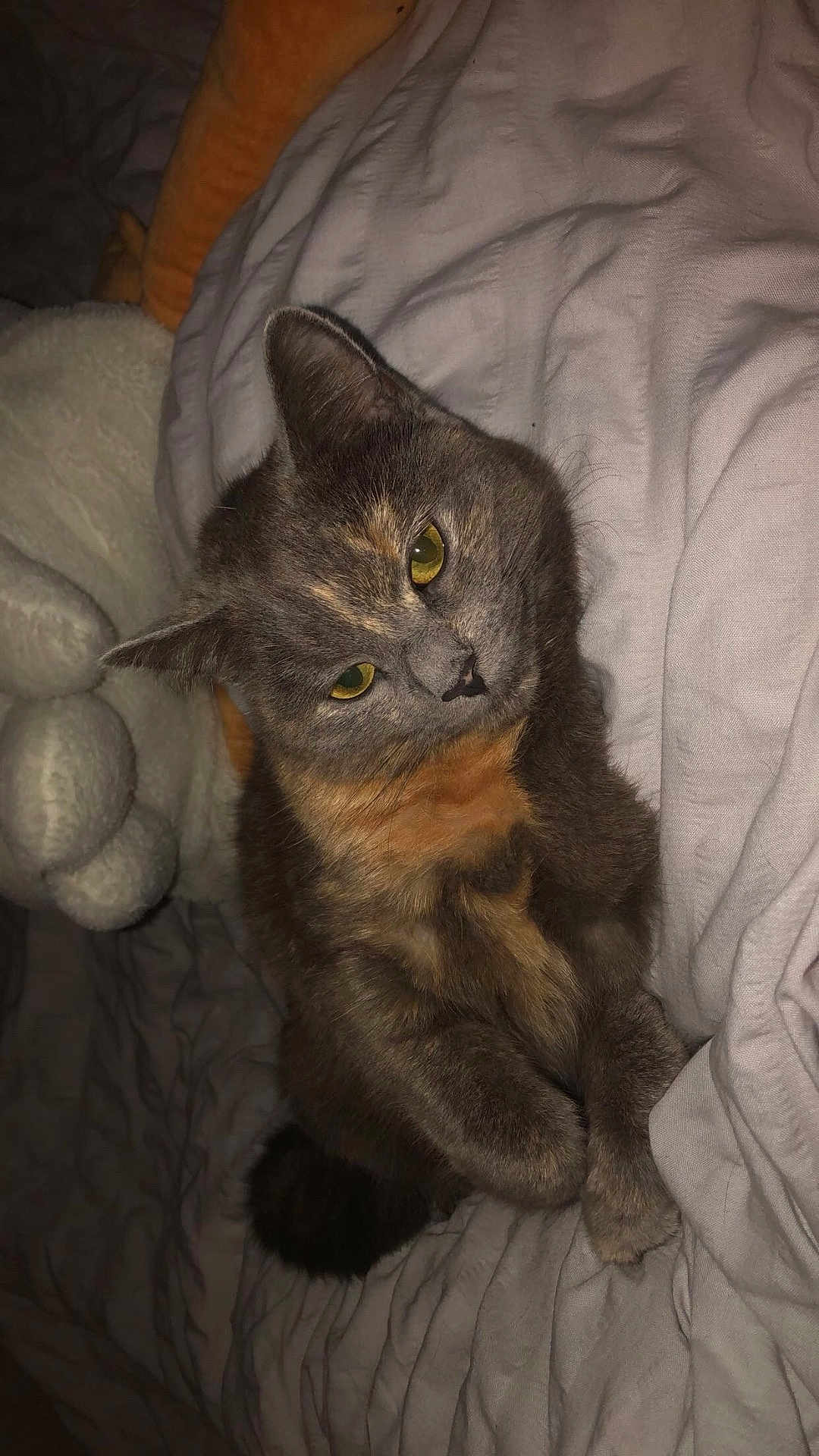 Penny