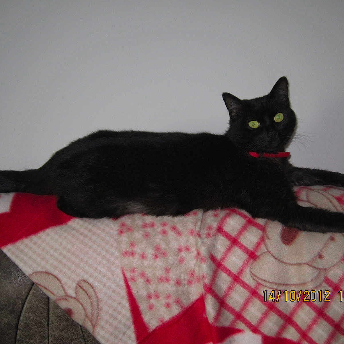 Soushi a rejoint le concours — aidez-le/la à gagner de superbes lots !