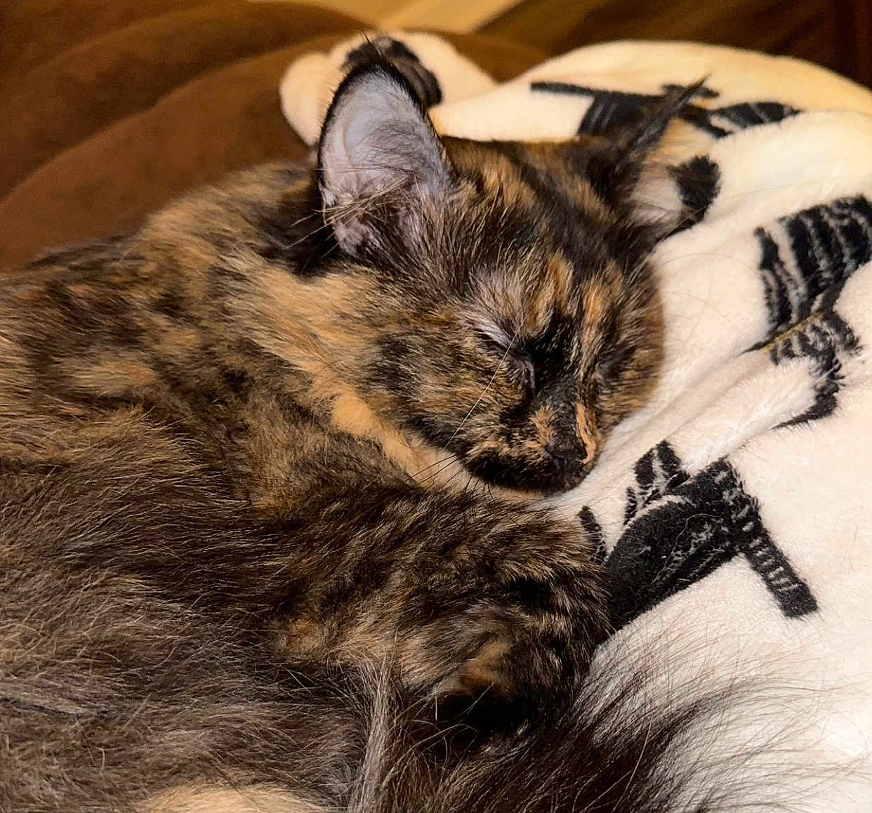 Luna