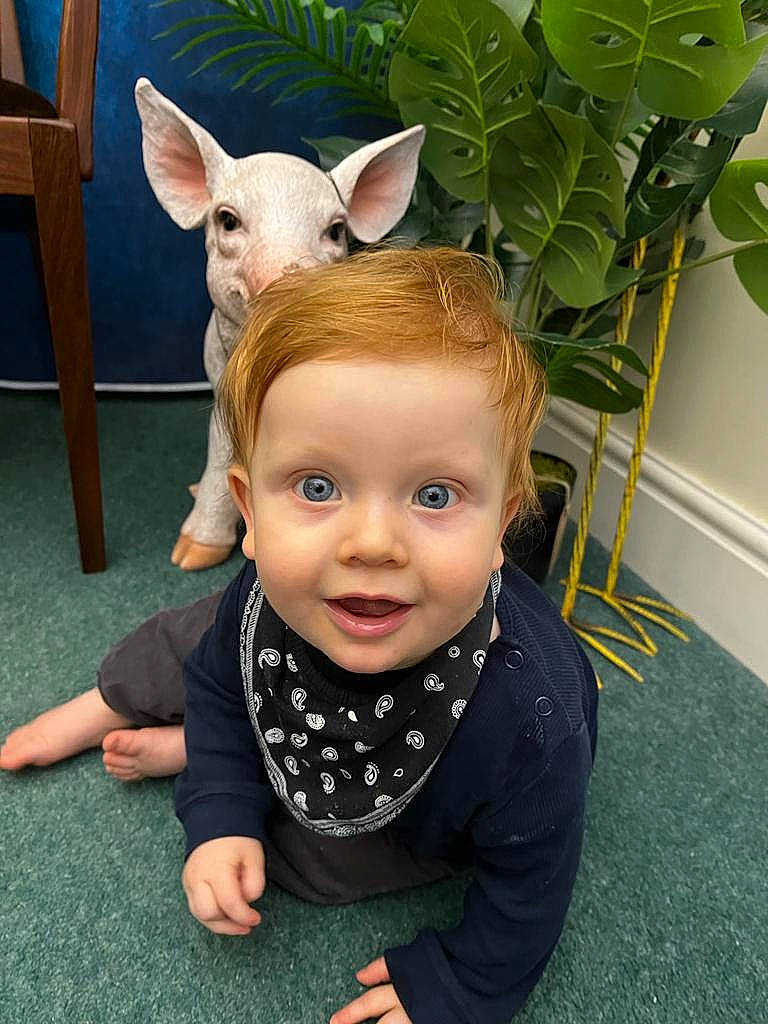 Toby is registered to the contest to win money with this photo: baby_toddler_clothing, ear, fawn, flooring, flowerpot, fun, grass, green, hairstyle, happy, houseplant, mammal, person, photograph, plant, skin, smile, snapshot, toddler, white