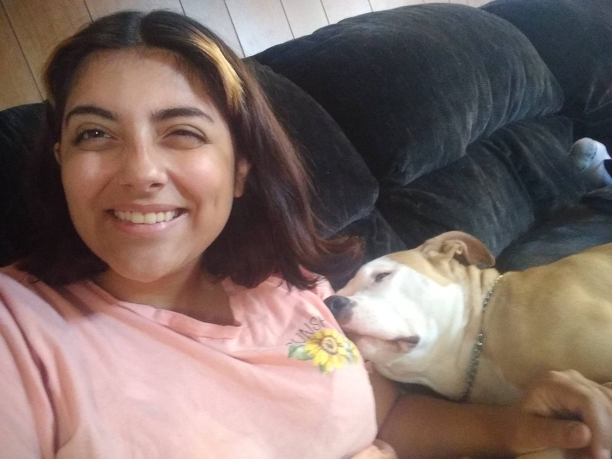 Rosi is registered to the contest to win money with this photo: canidae, carnivore, comfort, companion_dog, couch, dog, dog_breed, ear, event, face, fawn, fur, gesture, happy, selfie, skin, smile, sporting_group, working_animal, wrinkle