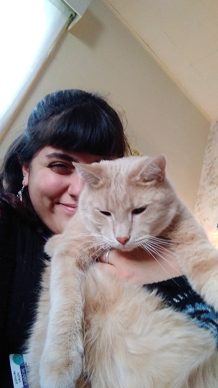 Lucky joined the competition — help win amazing prizes! carnivore, cat, claw, comfort, domestic_short_haired_cat, ear, fawn, felidae, fur, fur_clothing, gesture, happy, iris, paw, small_to_medium_sized_cats, smile, snout, tail, whiskers, window