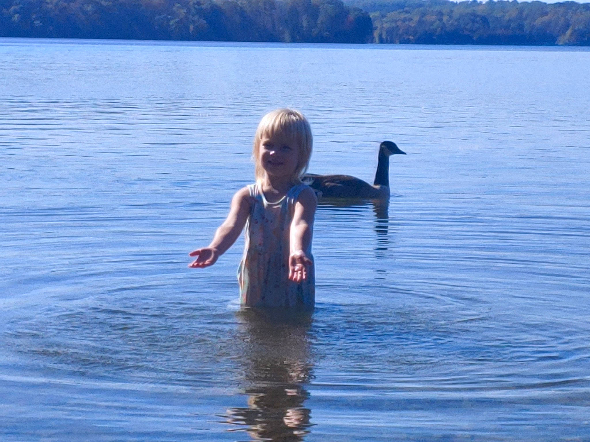 Ameline joined the competition — help win amazing prizes! _geese_and_swans, bathing, beak, ducks, electric_blue, fun, hair, happy, human_body, joy, lake, leisure, people_in_nature, people_on_beach, person, recreation, reflection, sky, swimwear, toddler