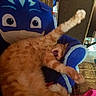 cat, orange_tabby, stretching, yawning, plush_chair, blue_chair, indoor, furniture, cozy, pet, animal, whiskers, fur, paw, relaxing, cute, mouth_open, claws, home, sleepy