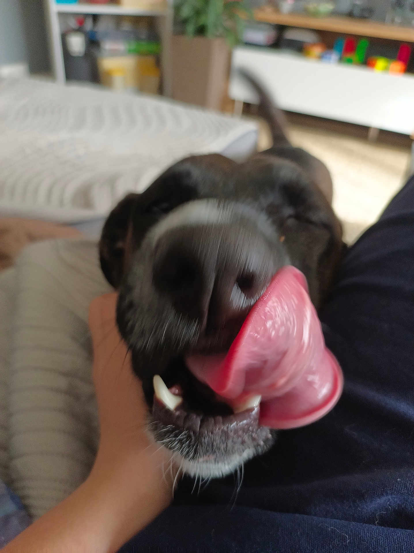Nina