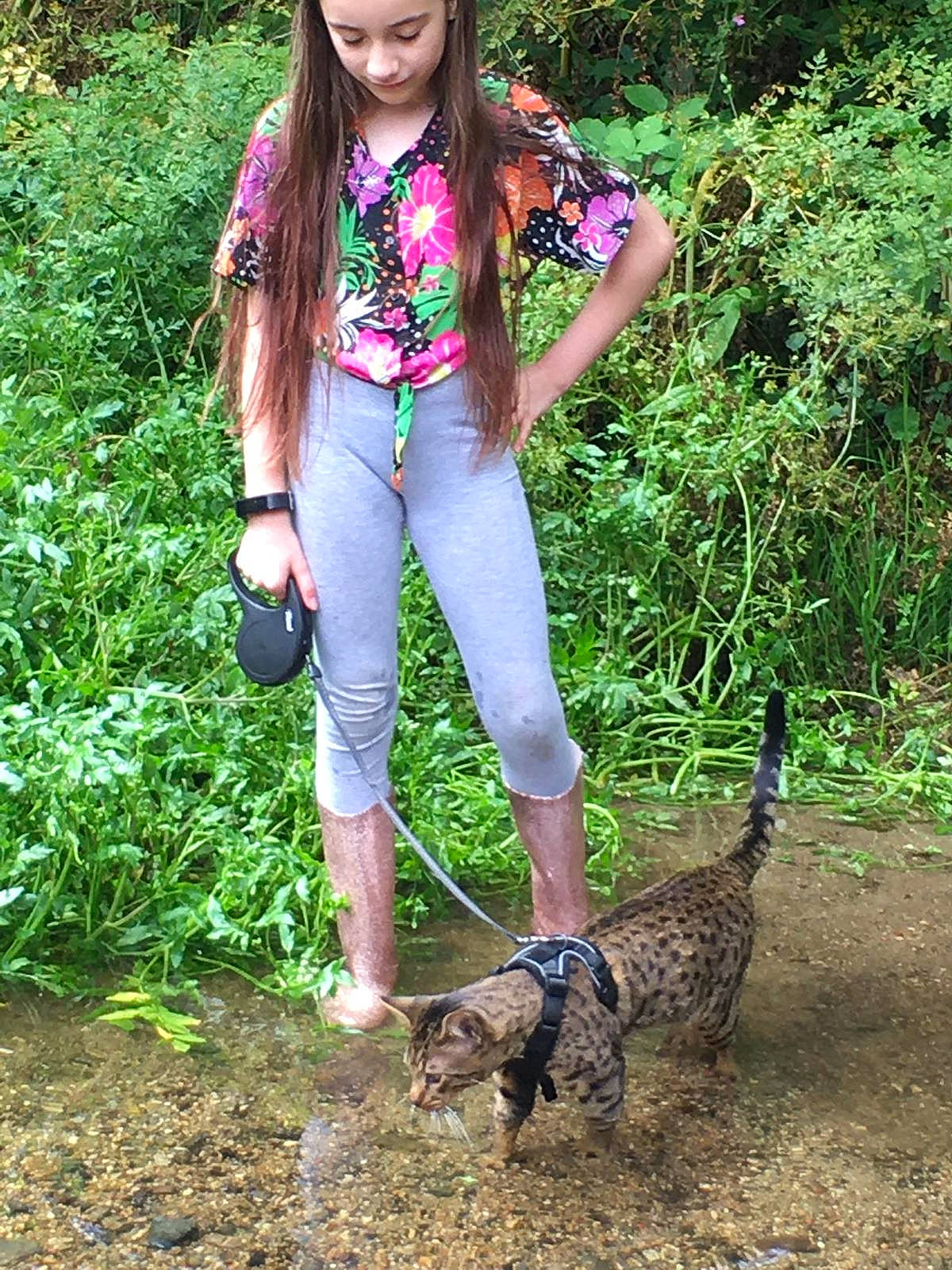 Ludo is registered to the contest to win money with this photo: canidae, carnivore, dog, dog_walking, fashion_accessory, fawn, jeans, leash, plant, sporting_group, tail, tree, trousers, walking