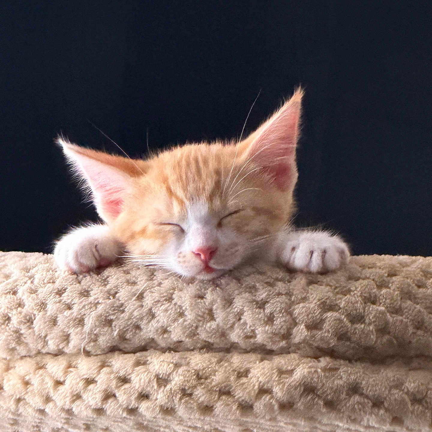 Clementine