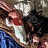 baby, newborn, dog, black_dog, bed, blanket, sleeping, cozy, indoor, resting, pet, animal, child, infant, fabric, comfort, soft_lighting, cute, together, napping