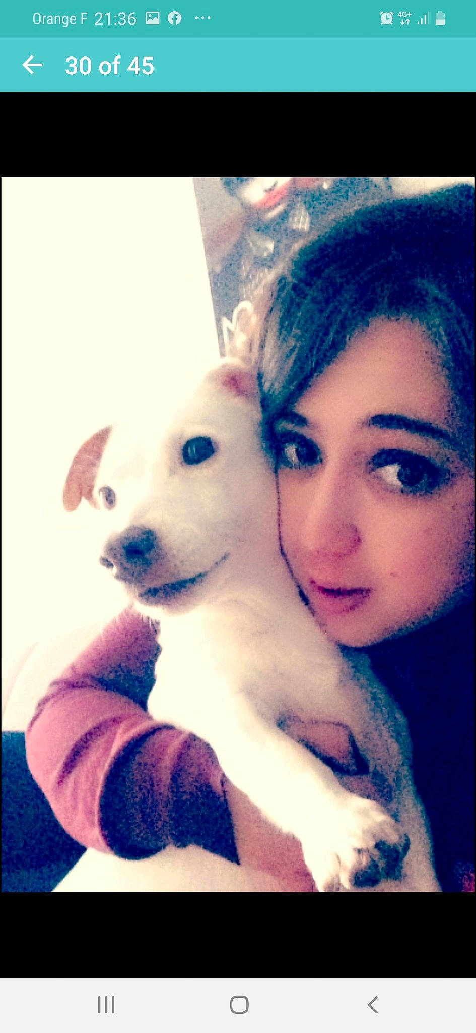 Caramel participe au concours pour gagner de l'argent avec cette photo : canidae, carnivore, companion_dog, dog, dog_breed, eyebrow, nose, puppy, puppy_love, selfie