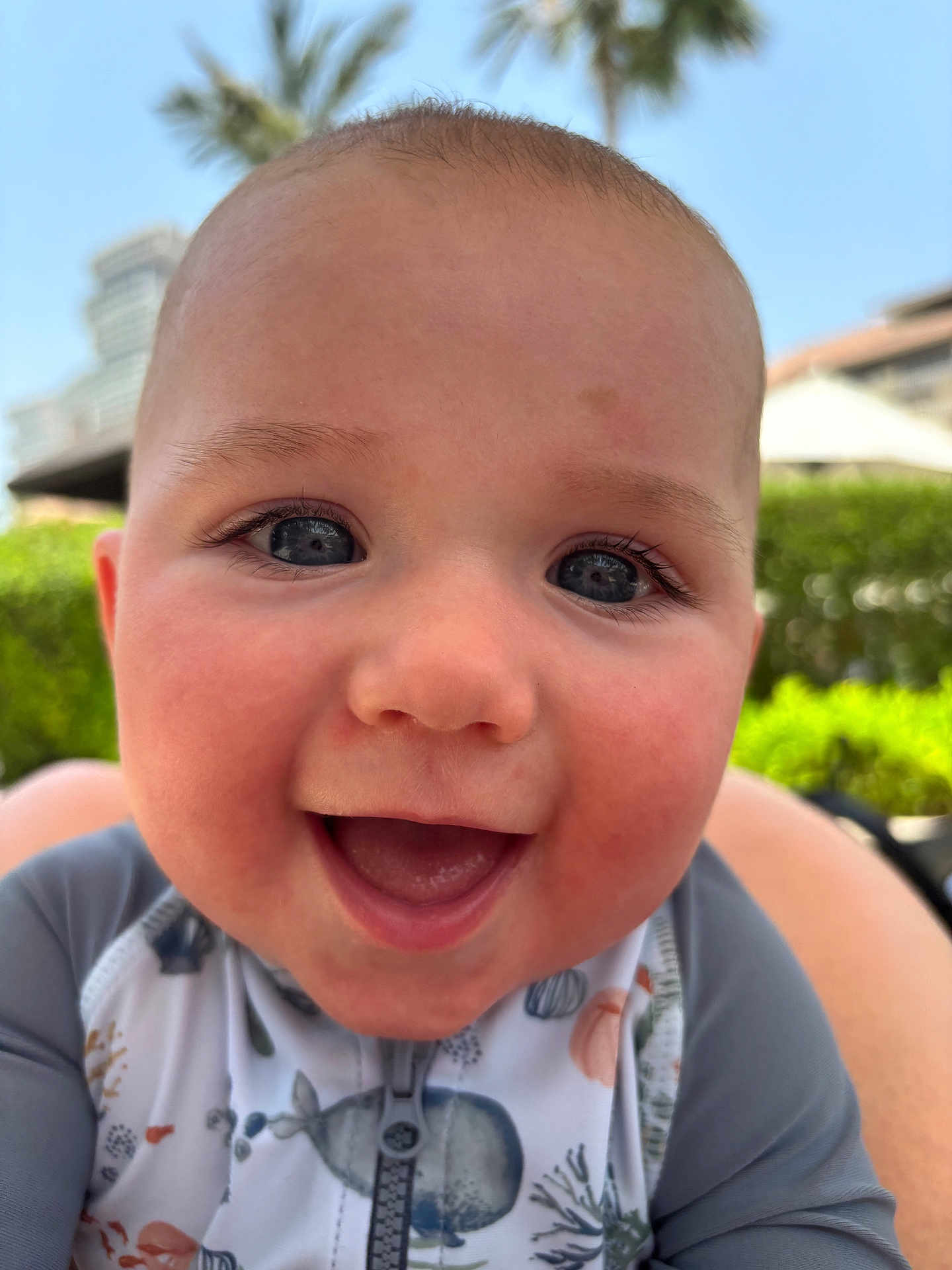 Sullivan joined the competition — help win amazing prizes! baby, smiling, face, closeup, outdoor, child, happy, cute, blue_eyes, skin, clothing, infant, nature, sunlight, palm_tree, background_blur, portrait, young_child, casual, joyful