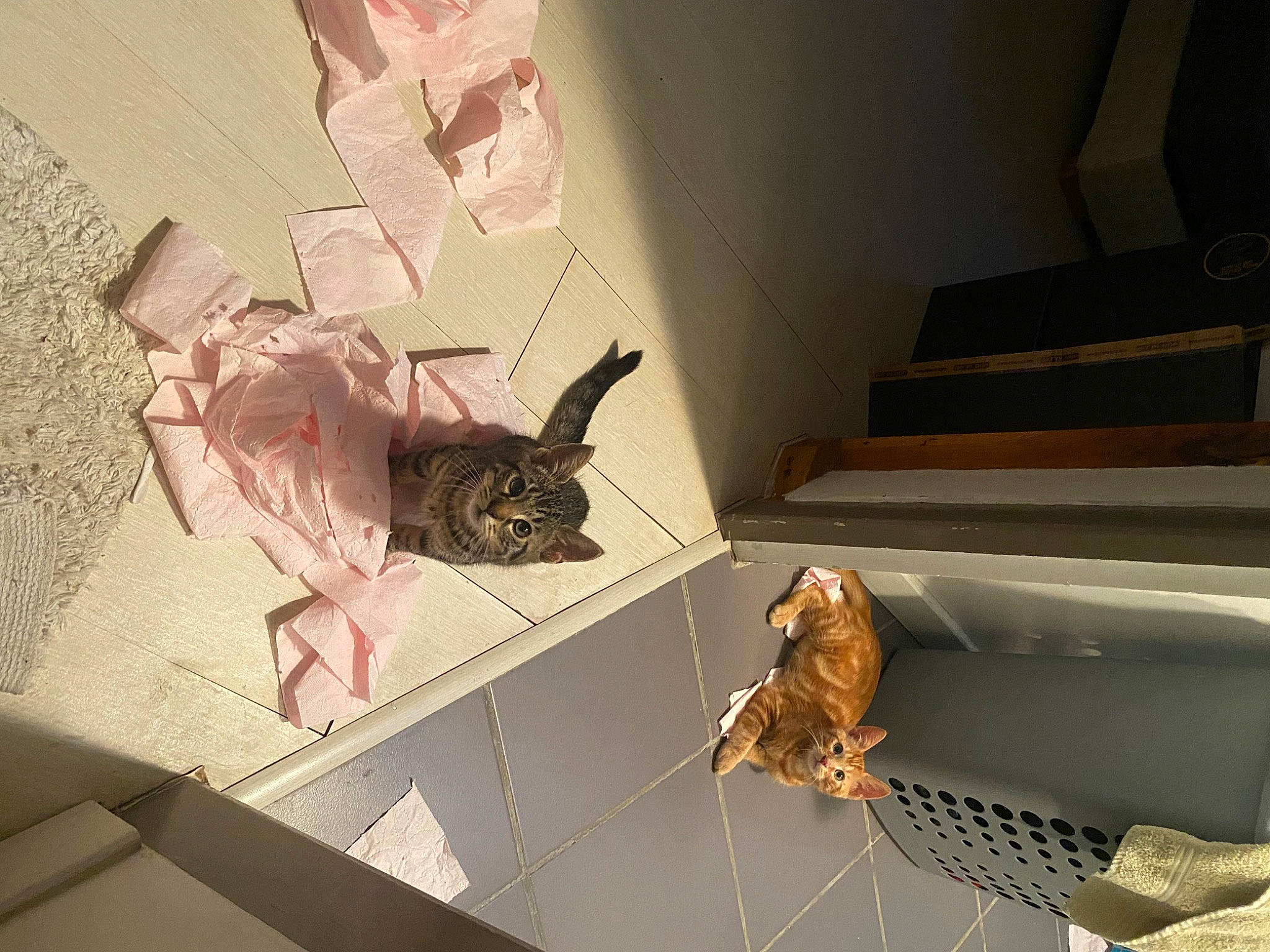 Moon a rejoint le concours — aidez-le/la à gagner de superbes lots ! art, carmine, ceiling, creative_arts, flooring, hardwood, house, interior_design, metal, paper_product, pattern, plaster, room, shadow, space, stairs, tile, visual_arts, wing, wood