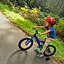 Naëlyo participe au concours pour gagner de l'argent avec cette photo : child, helmet, bicycle, training_wheels, blue_shirt, pants, sneakers, outdoor, forest, path, greenery, sunlight, nature, riding, trees, side_view, summer, active, boy, exercise