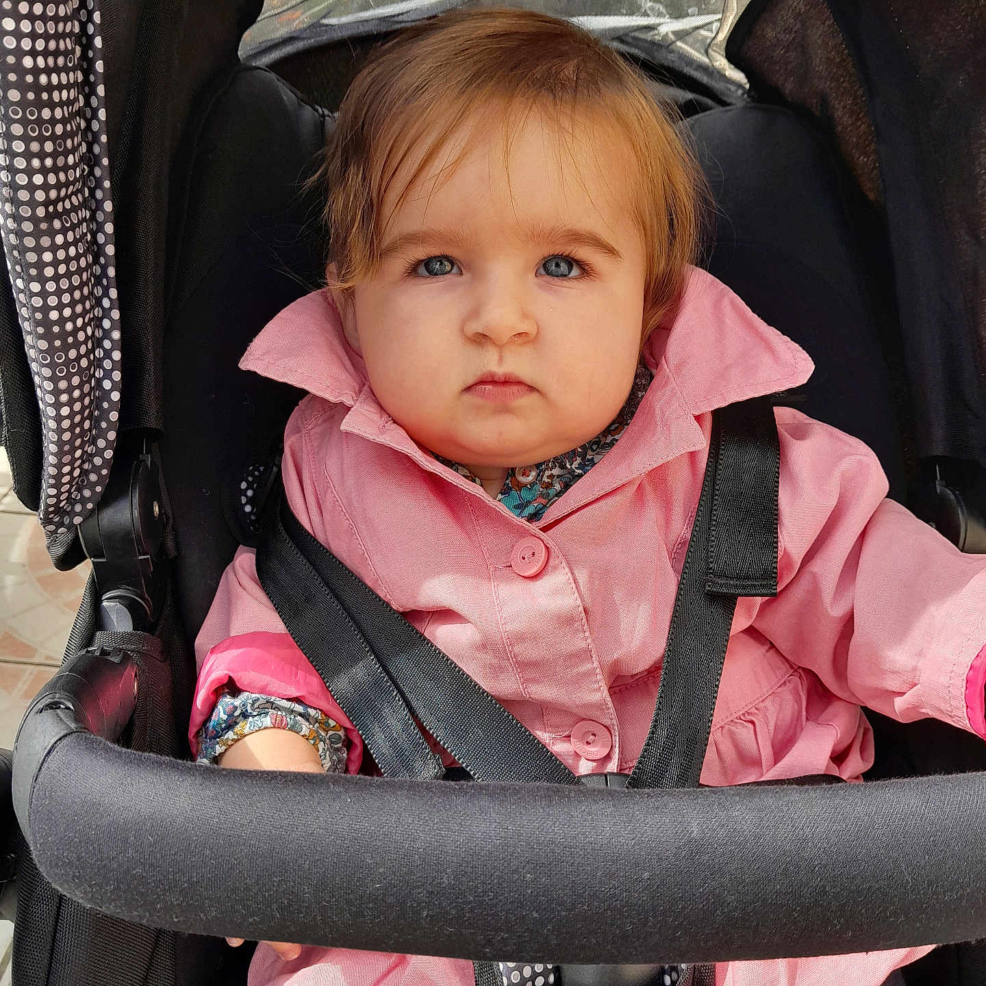 Soëlya participe au concours pour gagner de l'argent avec cette photo : baby, baby_clothes, baby_fashion, blue_eyes, casual_clothing, child, closeup, cute, daylight, face, infant, outdoor, person, pink_coat, portrait, safety_harness, seated, serious_expression, stroller, young_child
