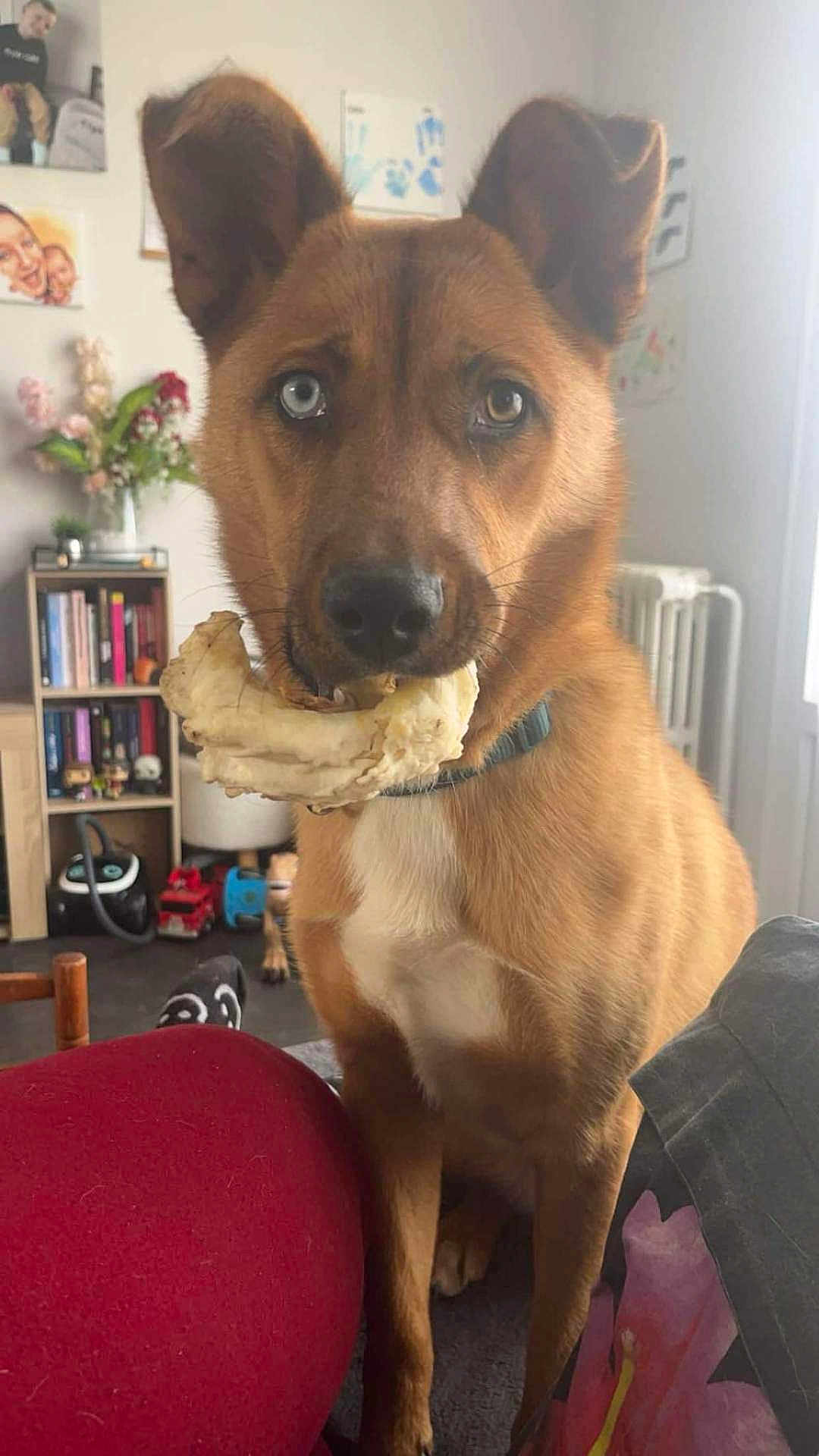 Nalla