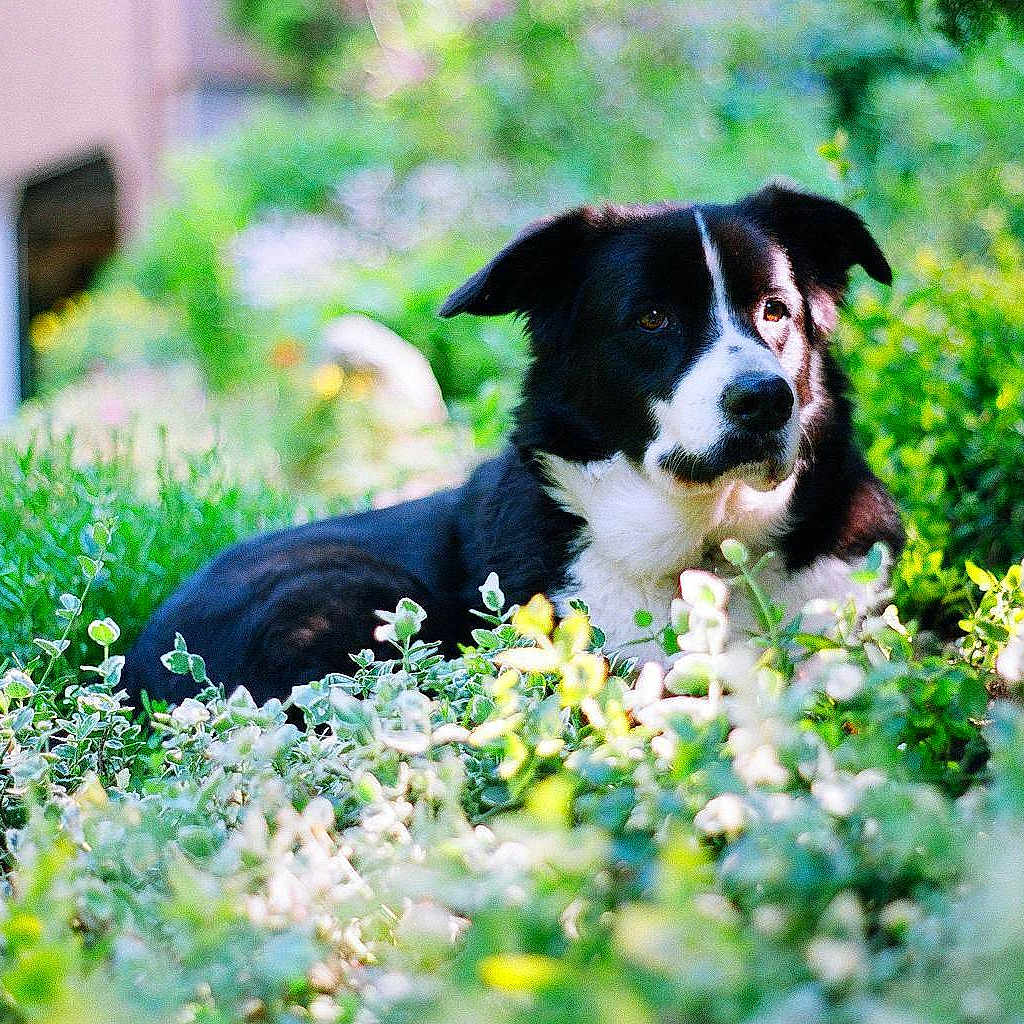 Tucker joined the competition — help win amazing prizes!