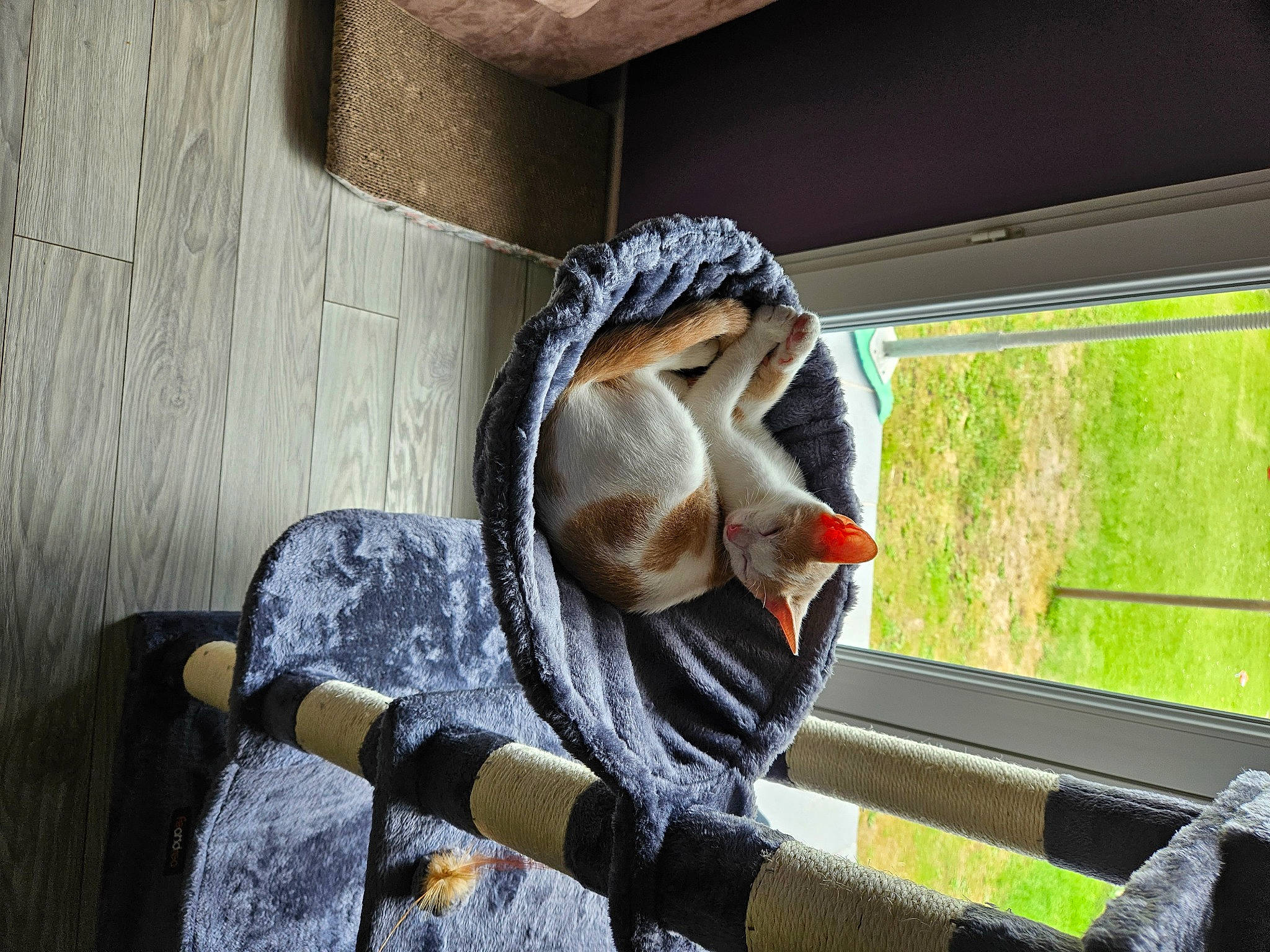 Flocky participe au concours pour gagner de l'argent avec cette photo : art, auto_part, fawn, fur, grass, lawn_ornament, metal, personal_protective_equipment, reptile, sculpture, sitting, snout, stuffed_toy, tail, terrestrial_animal, toy, visual_arts, wildlife, window, wood