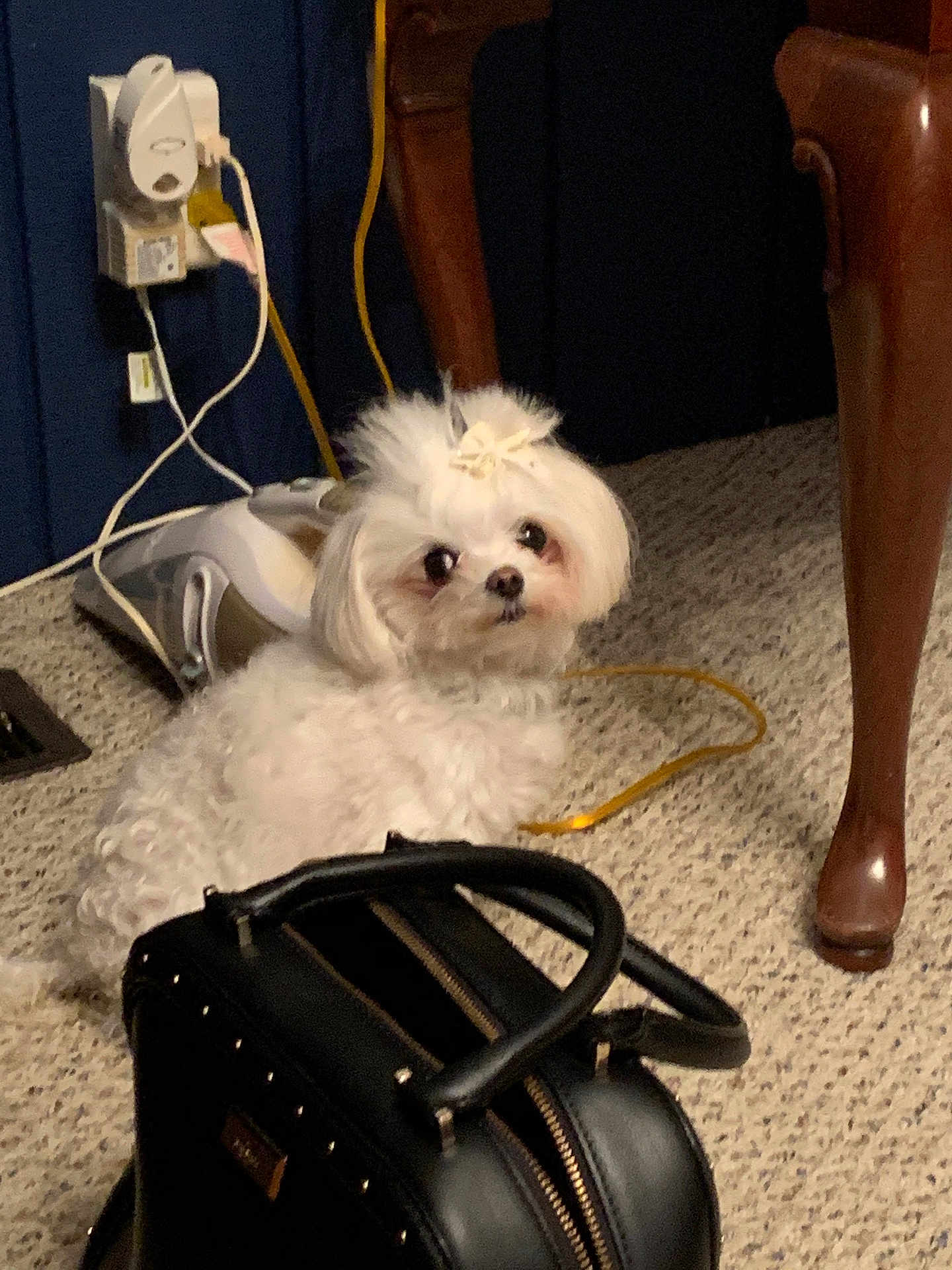 Sophie