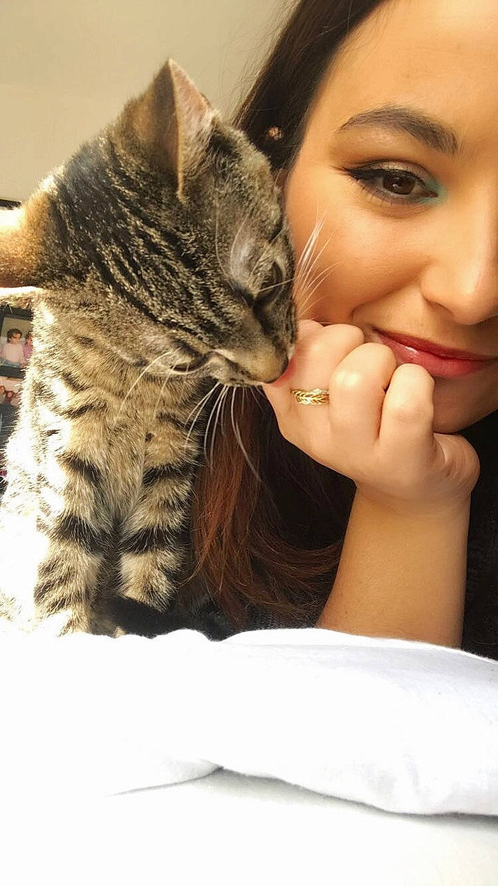 Prune a rejoint le concours — aidez-le/la à gagner de superbes lots ! asian, carnivore, cat, claw, domestic_short_haired_cat, dragon_li, european_shorthair, eye, felidae, finger, fur, hand, kitten, nail, nose, pixie_bob, skin, small_to_medium_sized_cats, tabby_cat, whiskers