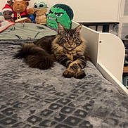 Mufassa participe au concours pour gagner de l'argent avec cette photo : cat, maine_coon, tabby, long_fur, bed, blanket, plush_toy, stuffed_animal, baby_yoda, hulk_plush, reindeer_plush, christmas_hat, pillow, cozy, indoor, portrait, paws, whiskers, tail, headboard