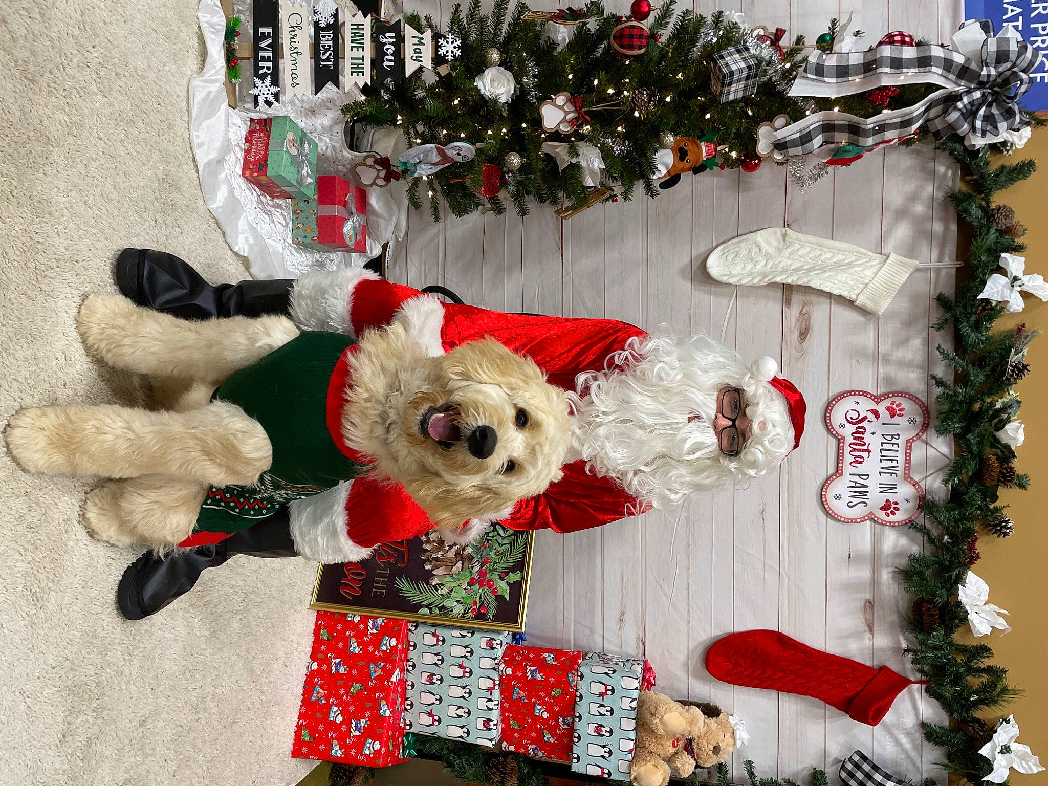 Franklin joined the competition — help win amazing prizes! carmine, christmas, christmas_decoration, christmas_ornament, conifer, creative_arts, decoration, design, event, holiday, holiday_ornament, interior_design, ornament, pattern, plush, red, stuffed_toy, textile, toy, white