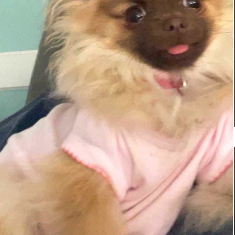 Posh