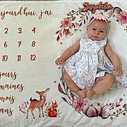 Sophia a rejoint le concours — aidez-le/la à gagner de superbes lots ! baby, infant, girl, milestone_blanket, woodland_animals, floral_pattern, pink_bow, dress, cute, lying_down, months_marker, wooden_rings, decorative_blanket, face, headband, feet, hands, portrait, child, soft_texture