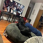 Akanahe is registered to the contest to win money with this photo: black_dog, boy, casual, child, couch, cozy, dog, entertainment, family_time, furniture, home_decor, indoor, large_pet_bed, living_room, modern_interior, pet_bed, relaxing, television, watching_tv, wood_floor