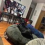 black_dog, boy, casual, child, couch, cozy, dog, entertainment, family_time, furniture, home_decor, indoor, large_pet_bed, living_room, modern_interior, pet_bed, relaxing, television, watching_tv, wood_floor