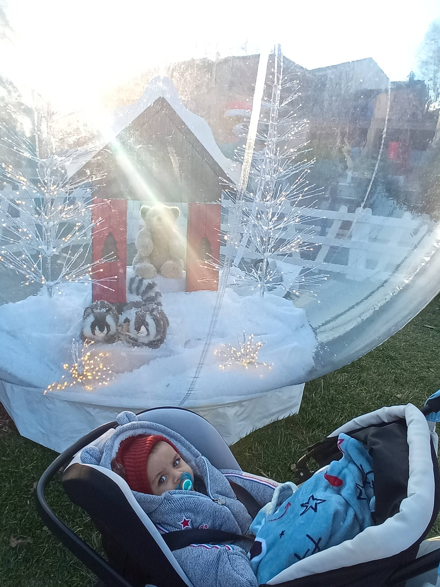 Adel a rejoint le concours — aidez-le/la à gagner de superbes lots ! automotive_exterior, baby, baby_carriage, baby_products, comfort, freezing, frost, fun, grass, house, leisure, motor_vehicle, person, plant, recreation, sitting, sky, toddler, tree, vacation