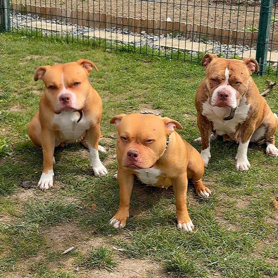 Kali Athena Chanel