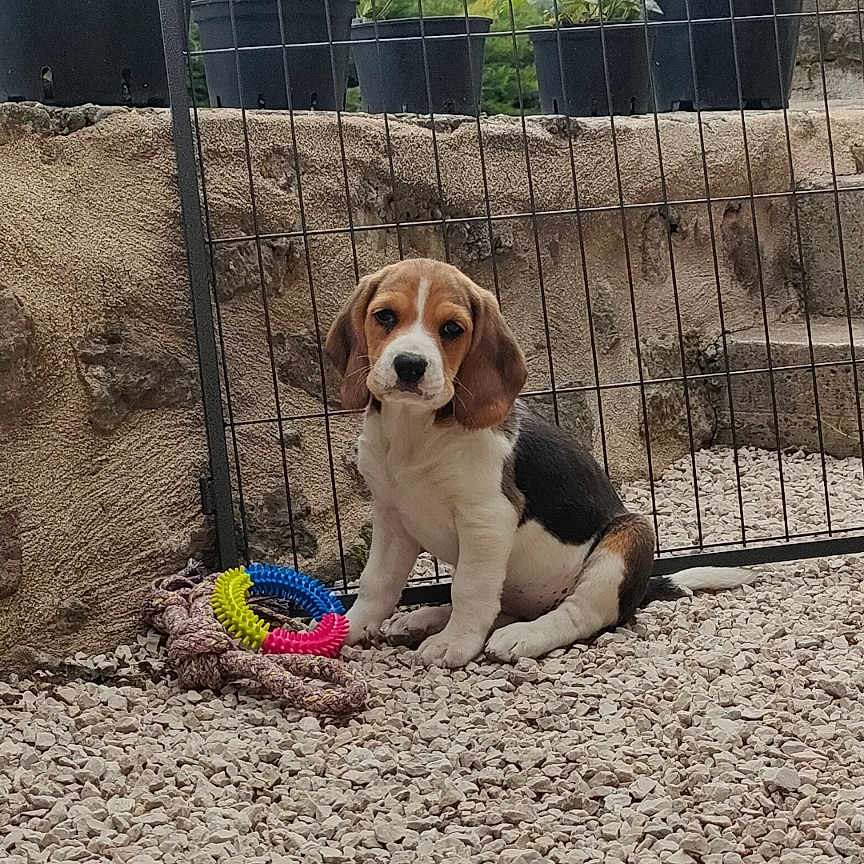 Vanya