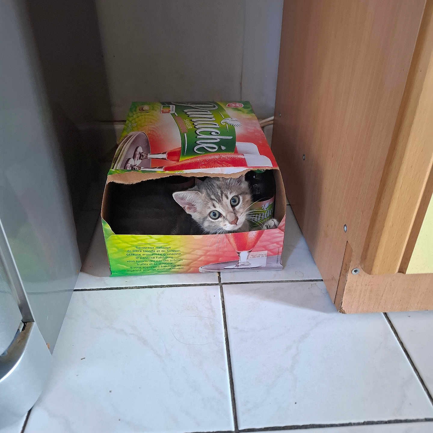 Gribouille participe au concours pour gagner de l'argent avec cette photo : animal_face, box, cardboard_box, cat, cozy, curious, cute, domestic, feline, floor_tiles, hiding, home, indoor, kitten, looking_out, pets, playful, small_animal, wooden_cabinet, young_cat