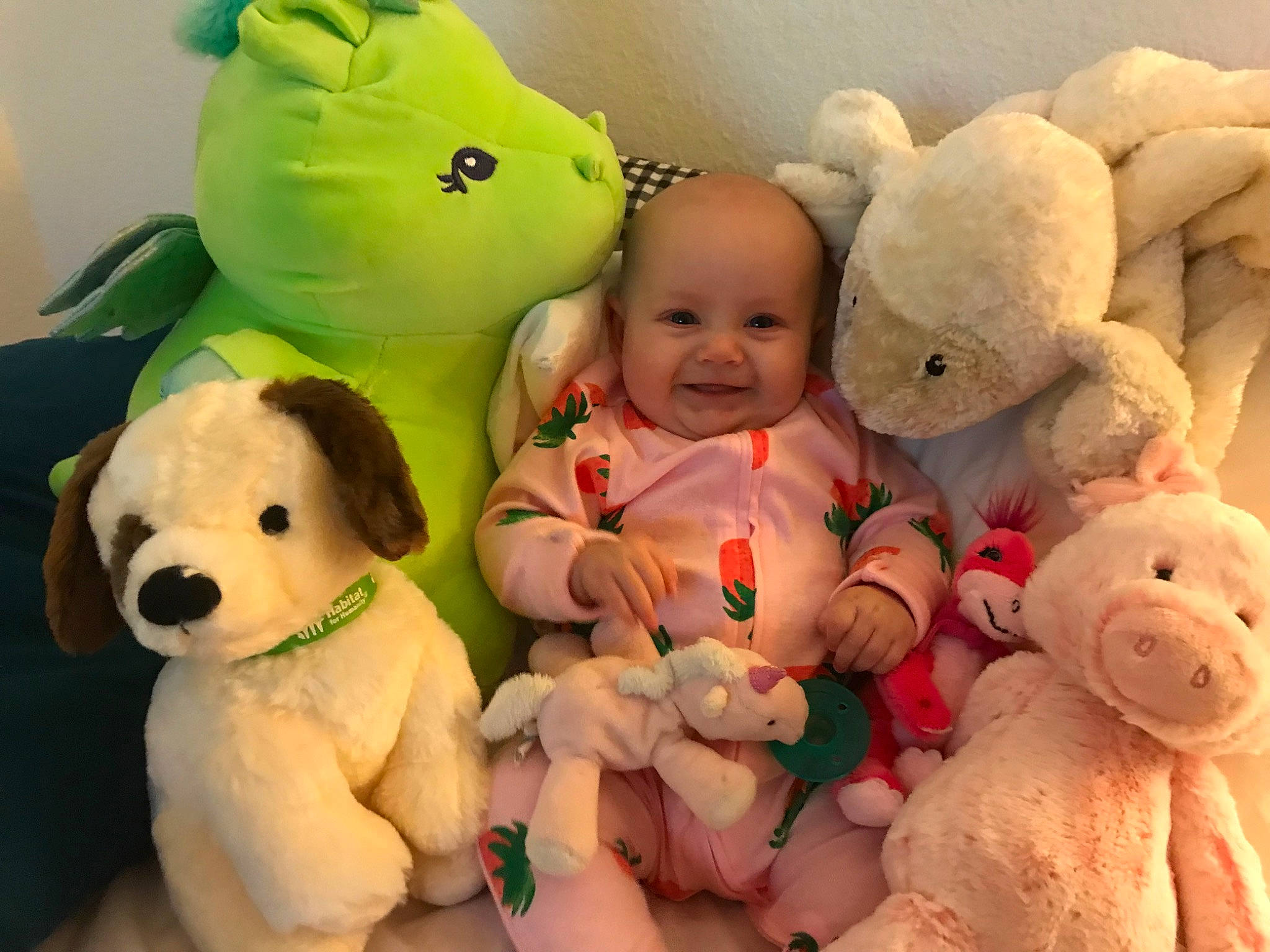 Harleigh joined the competition — help win amazing prizes! beauty, child, facial_expression, green, happy, joy, mammal, organ, people, person, photograph, pink, plush, product, skin, smile, snapshot, stuffed_toy, textile, toy