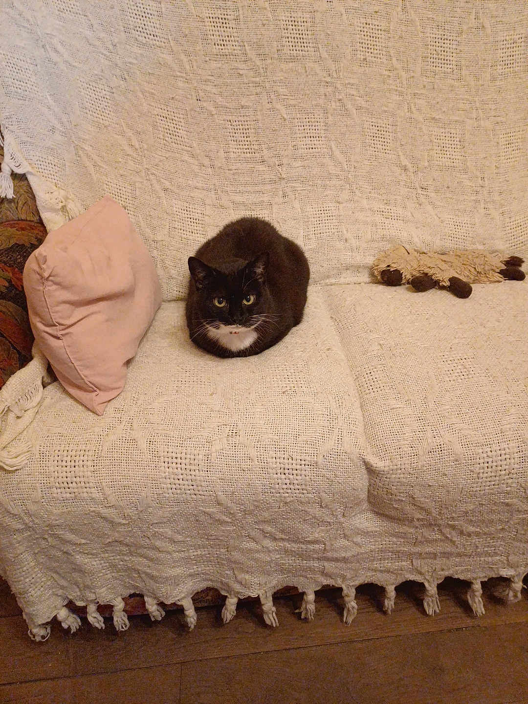 Noisette