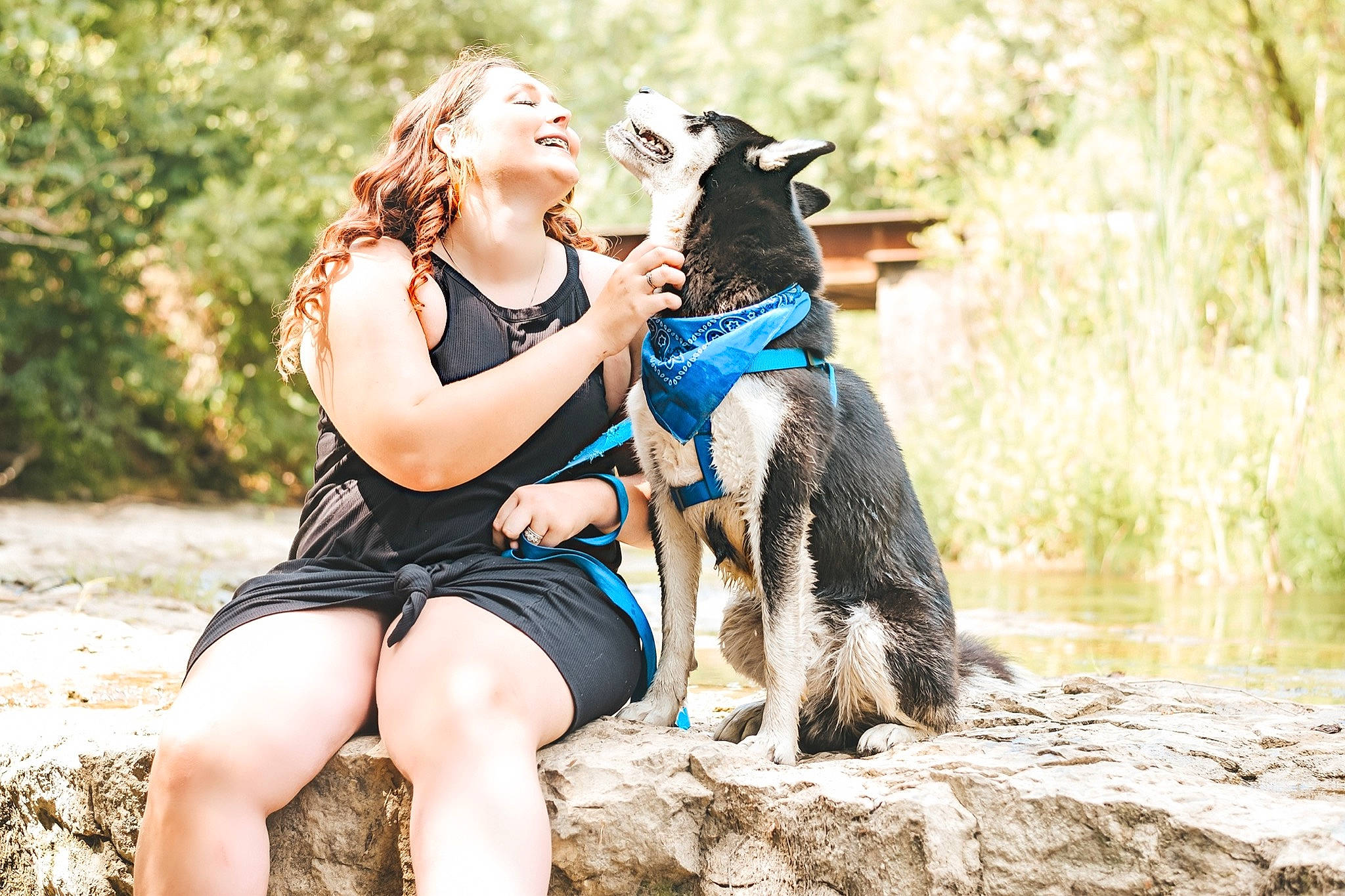 Tipper is registered to the contest to win money with this photo: beauty, carnivore, companion_dog, dog, dog_breed, fawn, flash_photography, fun, grass, happy, leg, leisure, mammal, outdoor_recreation, people_in_nature, recreation, summer, thigh, vertebrate, water