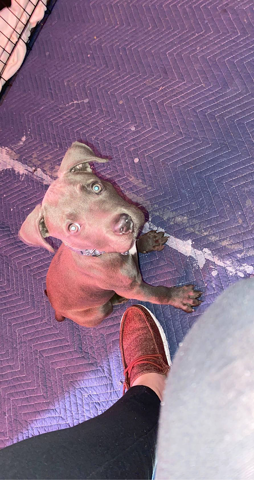 Bleu Rein joined the competition — help win amazing prizes! baseball_cap, beard, cap, chest, elbow, electric_blue, eyewear, facial_hair, fashion_accessory, flash_photography, flesh, fun, glove, hat, jewellery, magenta, music, personal_protective_equipment, purple, t_shirt