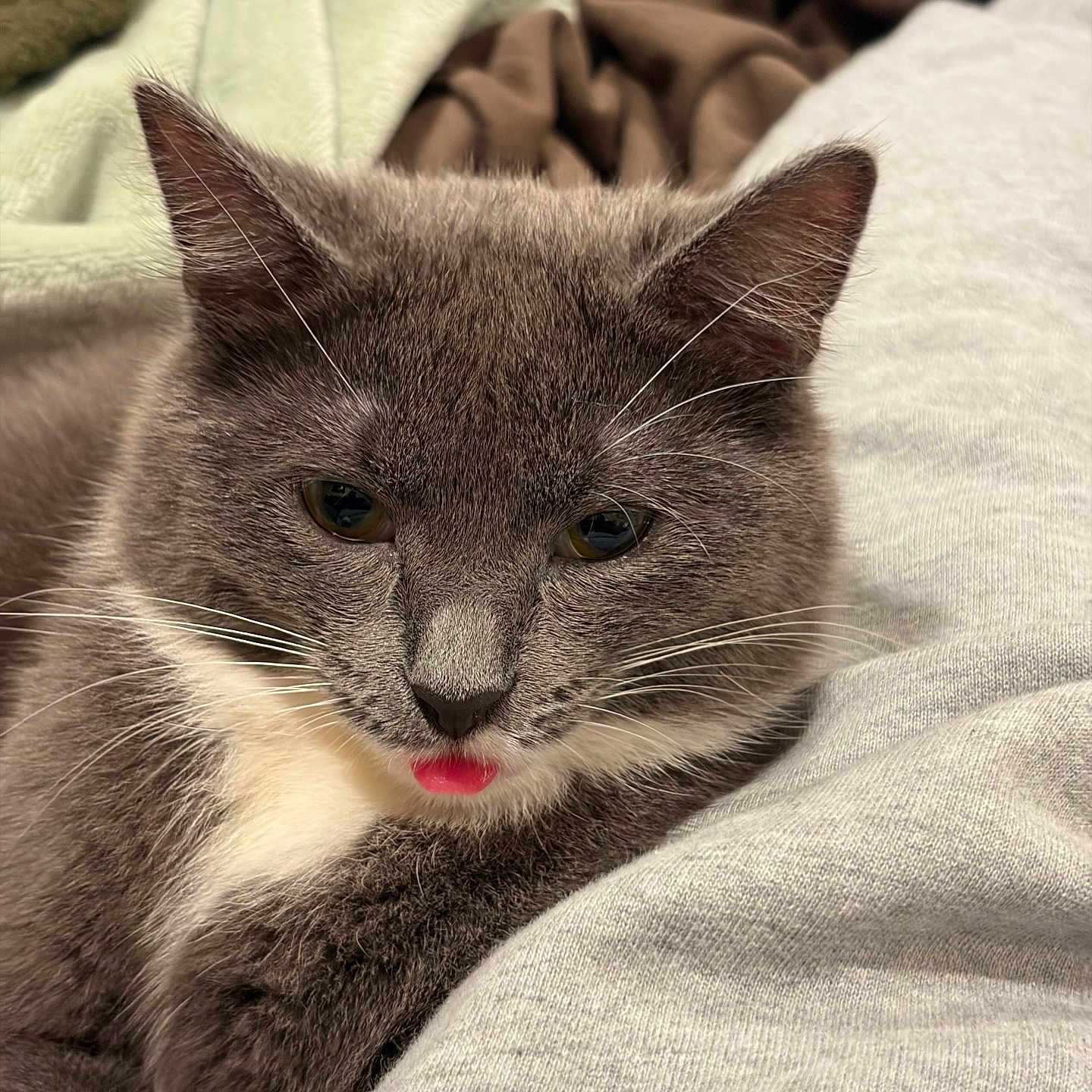 Delilah